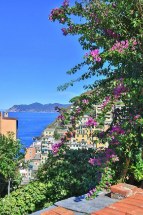 5 Terre For You Riomaggiore